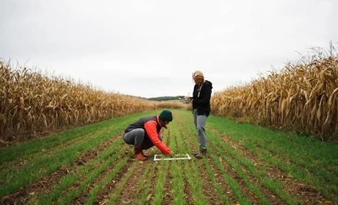 Organic Farming and Agribusiness
