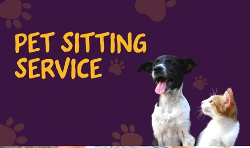 Pet Sitting Service