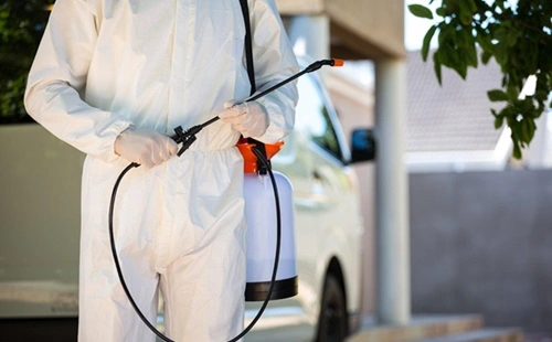 Effective Integrated Pest Management Strategies 