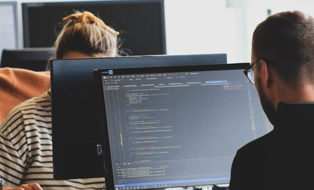 Developer