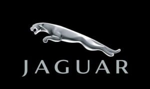 Jaguar Car