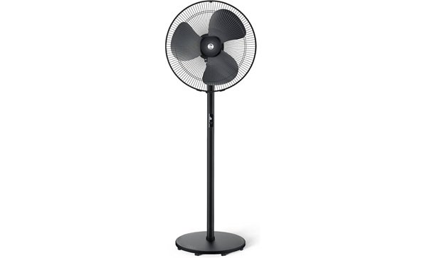 Pedestal Fan